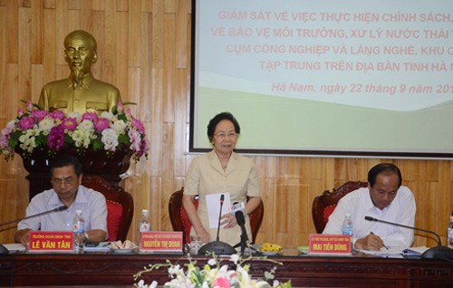 Phó Chủ tịch nước Nguyễn Thị Doan tiếp xúc cử tri một số xã của tỉnh Hà Nam - ảnh 1